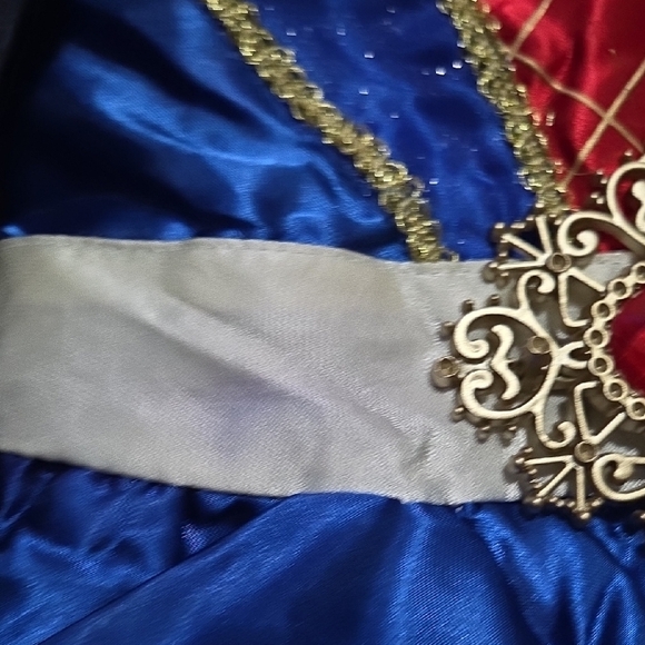 Disney Royal Princess Costume in Blue, Red, and Gold - Picture 4 of 4